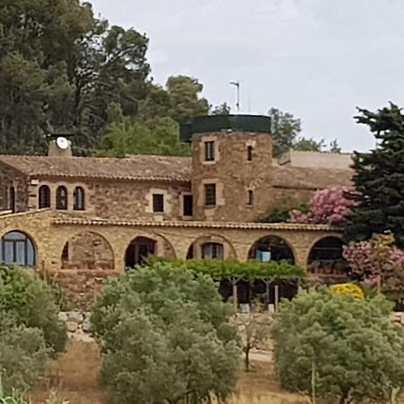 Penzion Mas Tomas Vall-Llobrega Exteriér fotografie